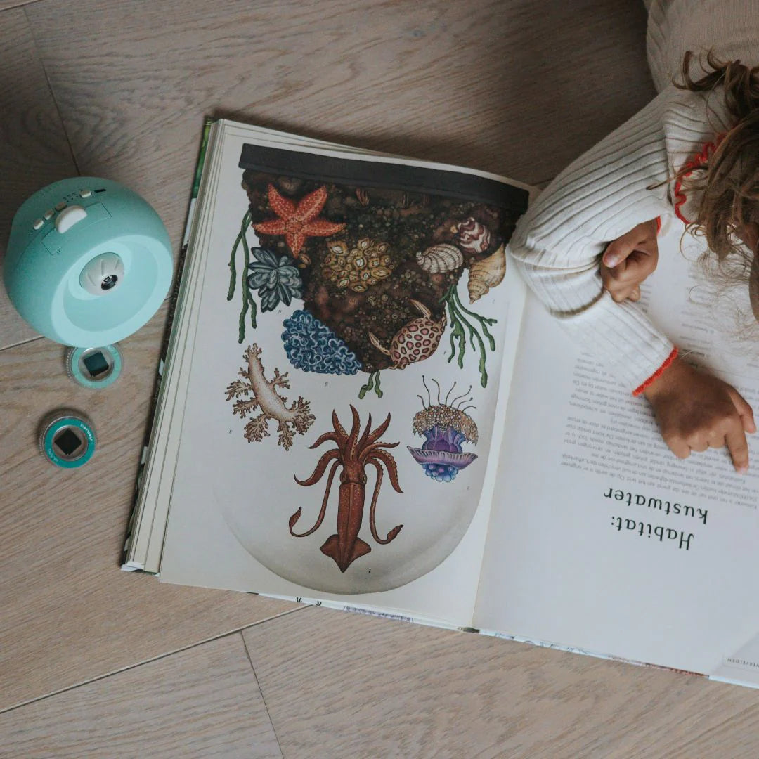 kidystar - beeldprojector - oceanen & zeeën