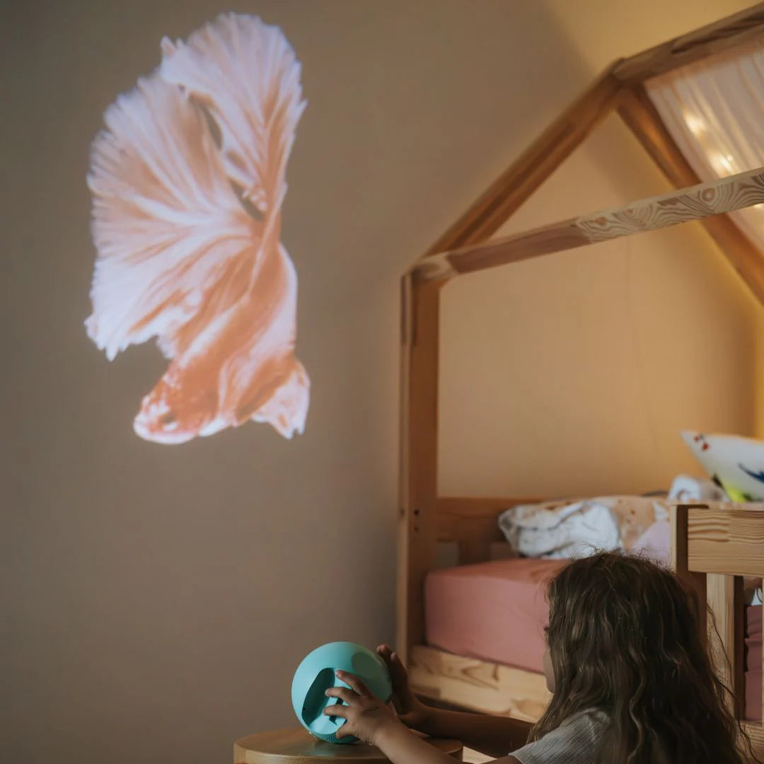 kidystar - beeldprojector - oceanen & zeeën