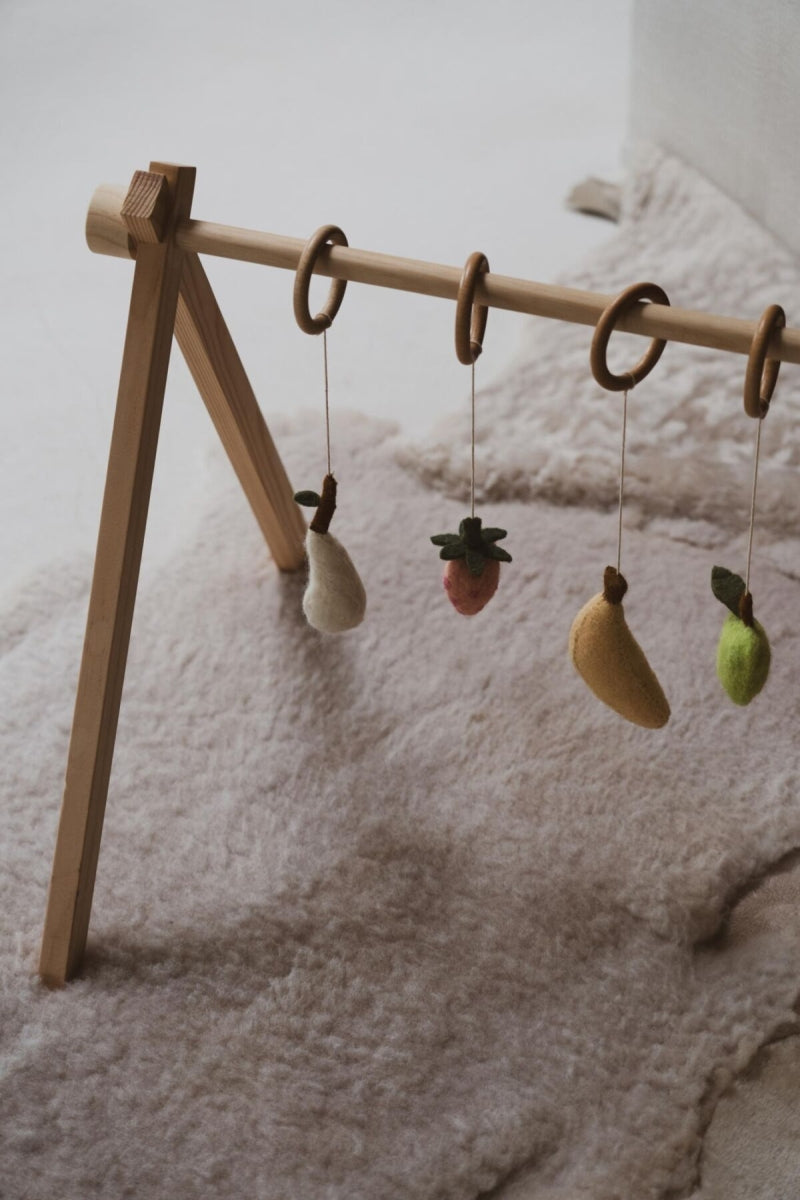 set van 5 speeltjes - fruit