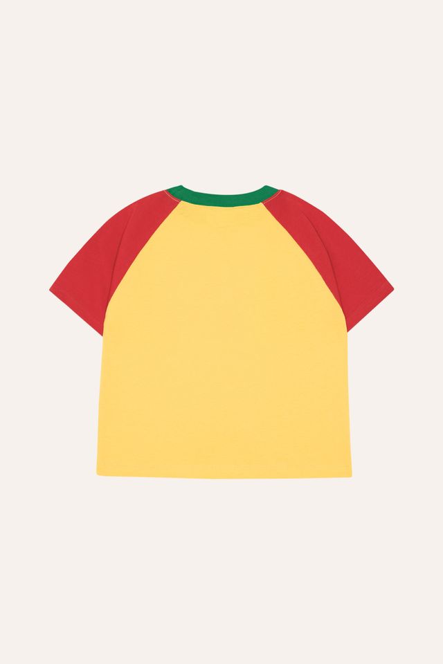 reading lion tshirt 2Y